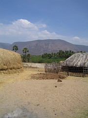 IMG_2846 Cow shelter